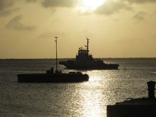 Fototapeta premium Bonaire