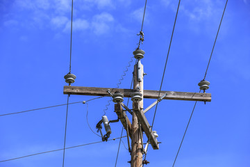 Wires and telephone pole.
