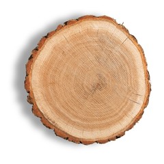 Fototapeta premium Log Cross Section