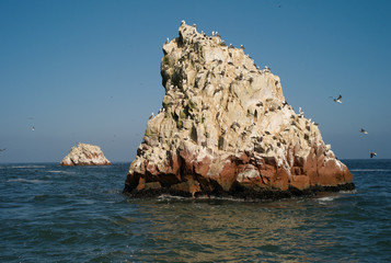Guano Island - Islas Ballestas, in the Pacific Ocean, Paracas District, Peru