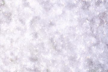 white background from poplar fluff
