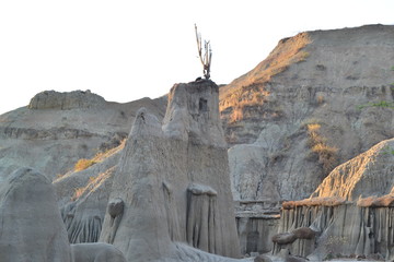 Desierto de la Tatacoa