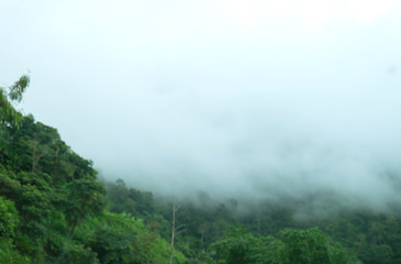 Blurred view of mountain cover by cloud in mist