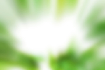 Green background Light  abstract