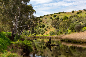 Onkaparinga River on a sunny day with reflections of trees and cliffs at old Noarlunga south australia on 23rd August 2018
