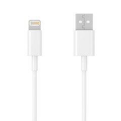White 8 Pin Charger Cable for Smartphone. 3d Rendering