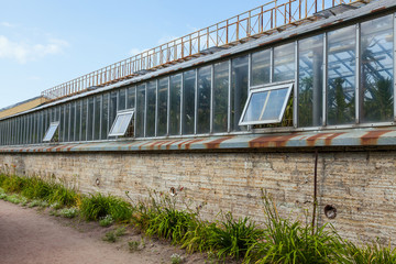 Greenhouse with plants in the Botanical garden