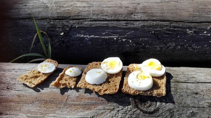 ein karges Picknick auf Baumstämmen während einer Fahrradtour in Schweden und Norwegen