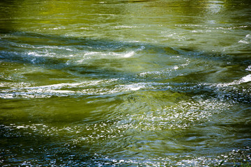 Green water in the river