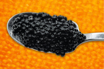 Spoon with black sturgeon caviar. Blurred red sturgeon caviar background