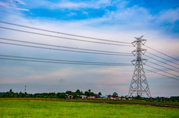High Voltage Electricity Transmission Line and Tower in rice field, Transmission Lines Electricity Towers.