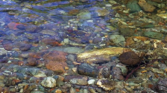 Stones and  pebbles under the transparent water on the bottom of river