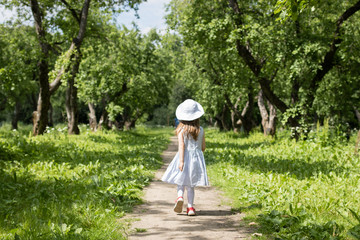 Child walking in sunny park. Little girl enjoying playing in Moscow Kolomenskoe park in warm summer day. Moscow 17/06/2018