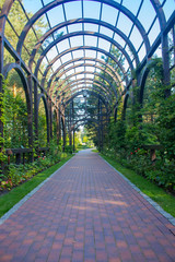 Wooden arch with trees and walkway in empty garden. Green tunnel from trees and flowers in...