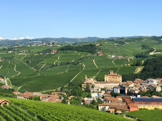 Fototapeta na wymiar Barolo View Langhe Piedmont