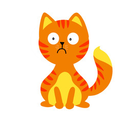 Scared cat - fat cat 