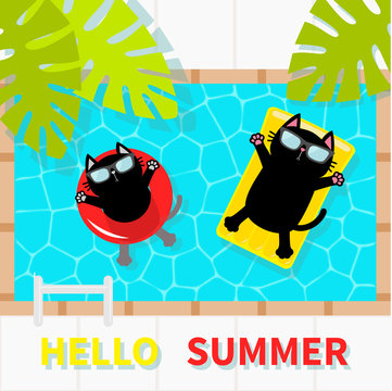 Hello Summer. Swimming pool. Black cat floating on pool float water mattress and circle. Top air view. Sunglasses. Lifebuoy. Palm tree leaf. Cute cartoon character. Flat design.