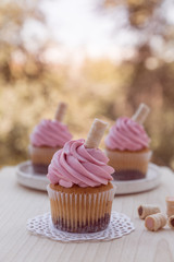 Retro cupcakes with pink frosting