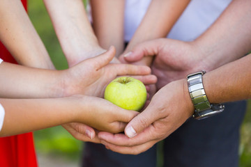 Руки членов одной семьи - мама, папы и двоих детей - с зеленым неспелым яблоком