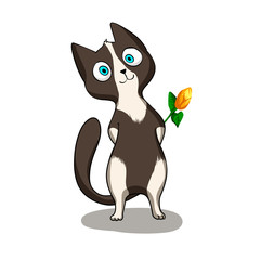 Tuxedo cat with flower