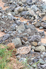 Pile of large granite stones near the grass.