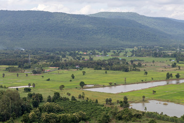 Rice field scenery near mountain range and habitat.