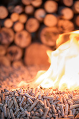 Wooden biomass in fire