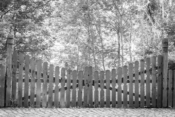 Wooden gate in a private house. Country life. Rural landscape. Fence of private territory. The old gate.