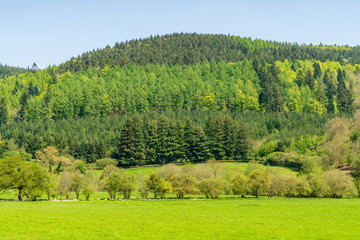 Landscape near Bucknell, Shropshire, England, UK