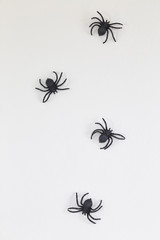 Halloween black spiders on wall