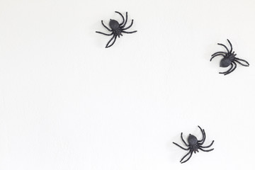 Halloween black spiders on wall