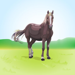 Illustration of brown horse on lawn