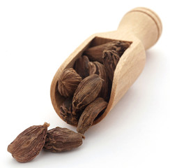 Black cardamom