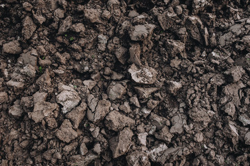 Black soil close up. Agriculture. Chernozem. Cultivation of land.