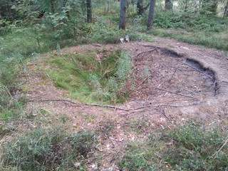 Crater In Woods