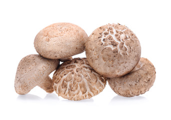 Shiitake Mushrooms isolated on white background