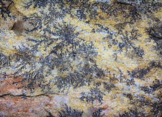 red Slate Stone Wall background Texture close-up