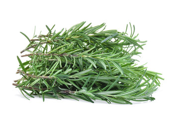 rosemary isolated on white background