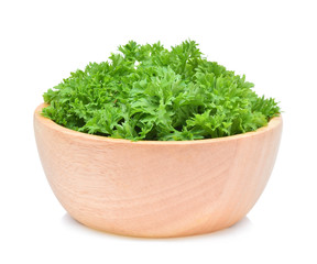 Fototapeta premium parsley isolated on white background