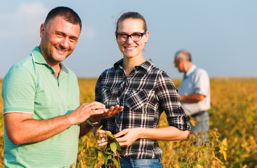 Group of farmers standing in a field examining soybean crop before harvesting.
