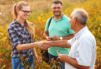 Handshake for deal, group of farmers standing in a field examining soybean crop before harvesting.