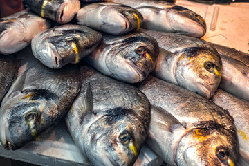 fresh fish on ice at the market