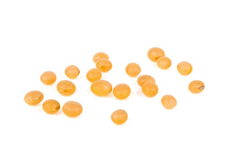 Soy beans isolated on white background.