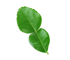 Kaffir lime leaf isolated on white background