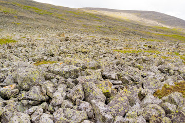 landscape of the valley of a mountain hill flooded with light and covered with large stones of different shapes with moss of green yellow and brown, rock space, a fresh summer day under the blue sky