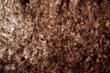 Backlit Paper Background, Backdrop