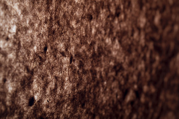 Backlit Paper Background, Backdrop