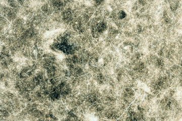 Backlit Paper Background, Backdrop