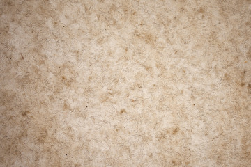 Backlit Paper Background, Backdrop