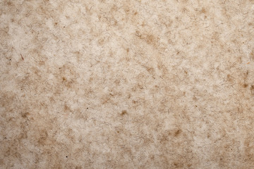 Backlit Paper Background, Backdrop